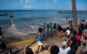 Au Coeur D'Un Village De Pecheurs Sur La Caraibe